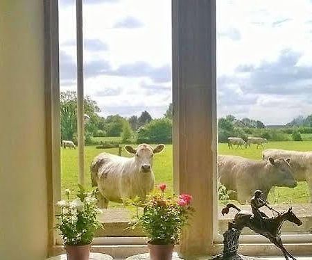 Battens Farm Cottages - B&B And Self-Catering Accommodation Yatton Keynell Exteriér fotografie